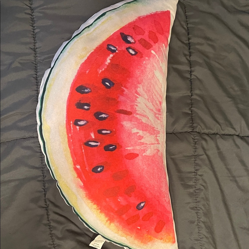 Watermelon Slice Pillow